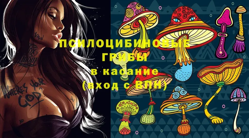 Галлюциногенные грибы MAGIC MUSHROOMS  Амурск 